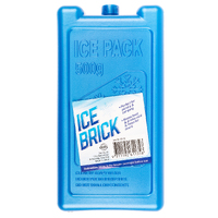 Ice Brick 500g  
