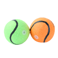 Squeaky Tennis Balls  2 Pack  3 Asstd Col