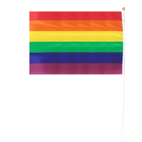 30*45CM RAINBOW FLAG