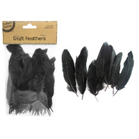 Craft 14Cm Black Feathers/50