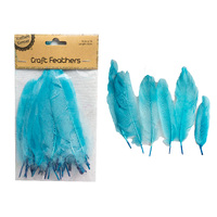 Craft 14Cm Blue Feathers/50