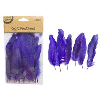 Craft 14Cm Purple Feathers/50