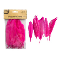 Craft 14Cm Pink Feathers/50