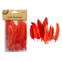Craft 14Cm Red Feathers/50
