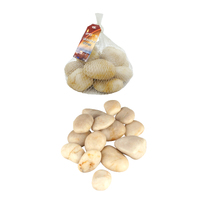 Decorative River Stones - White Series- 1Kg