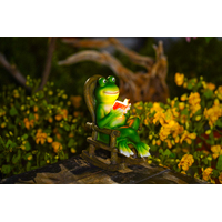 FROG W SOLAR LIGHT 9X14X17.5CM