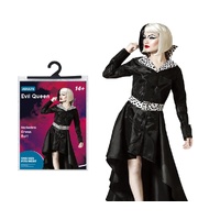 Adults Evil Queen Dress Costume