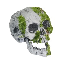 Mossy Graveyard Skull Prop