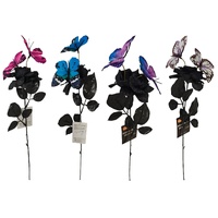 Black Rose with Butterfly 46cm Asst