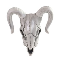 Ram Skull with Horns 30cm