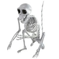 Monkey Skeleton 26cm