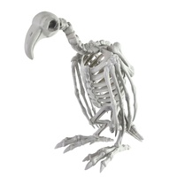Vulture Skeleton 32cm