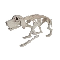 Dog Skeleton 32cm