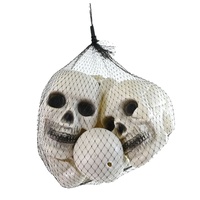 Skull 16pk