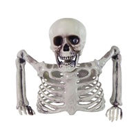Half Skeleton 20cm
