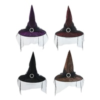 Witch Hat With Veil Asst