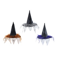Witch Hat With Spider Web Veil Asst