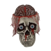 Animated Skull With Pumping Brain