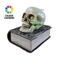 Fogging Skull On Book 21cm