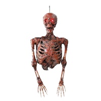 Hanging Half Skeleton Mummified 88cm