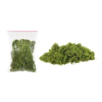Moss Decor 20g