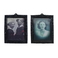 Hanging 3D Horror Frame 28cm