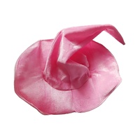 Pink Velvet Witch Hat