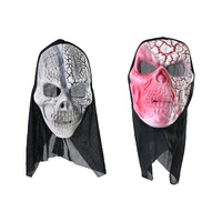 Cracked Skull Hooded Mask Asst