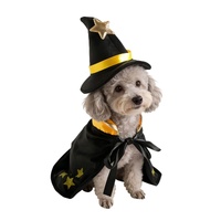 Costume Sorcerer Pets