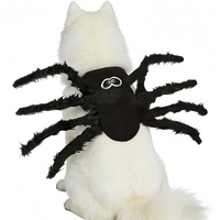 Costume Spider Pets