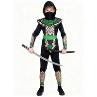 Costume Dragon Ninja Warrior Kids