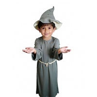 Costume Little Grey Wizard Kids