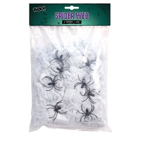 Spider Web With Spiders 120g