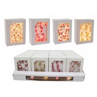 LED Chunky Deco Wire Lights 20pk B/OP SRT