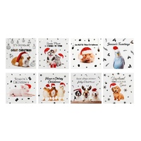 Cards Pet Foiled SQ 10pk Asst